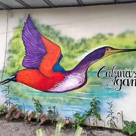 Cabinas Agamy Tortuguero Exterior foto