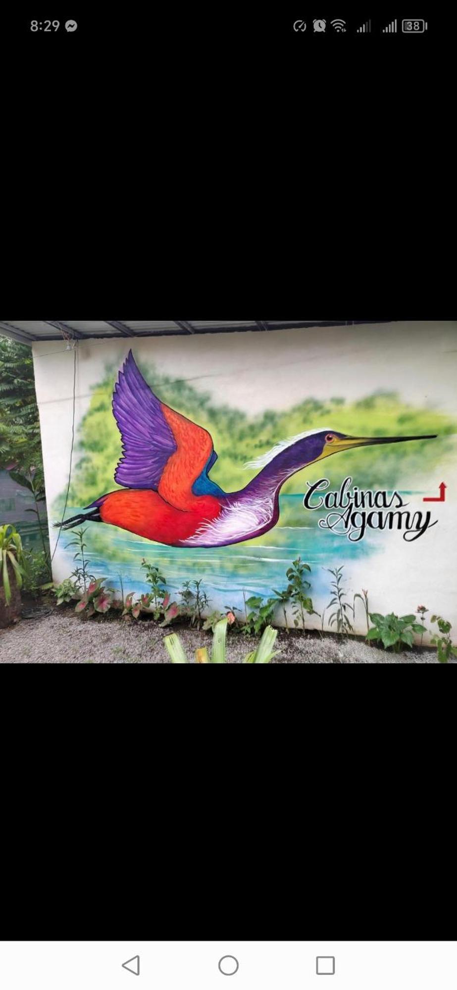 Cabinas Agamy Tortuguero Exterior foto