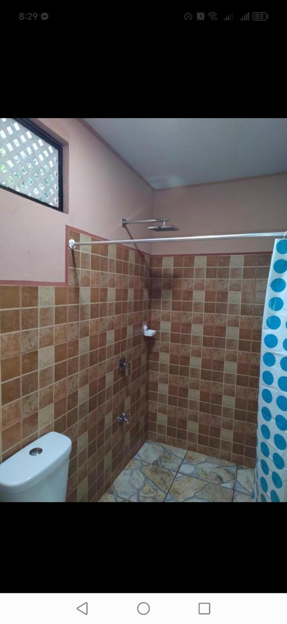 Cabinas Agamy Tortuguero Zimmer foto